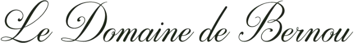 Logo-noir-le-domaine-de-bernou